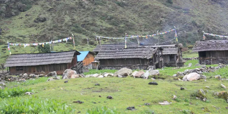 ढोक्प्याकी युल